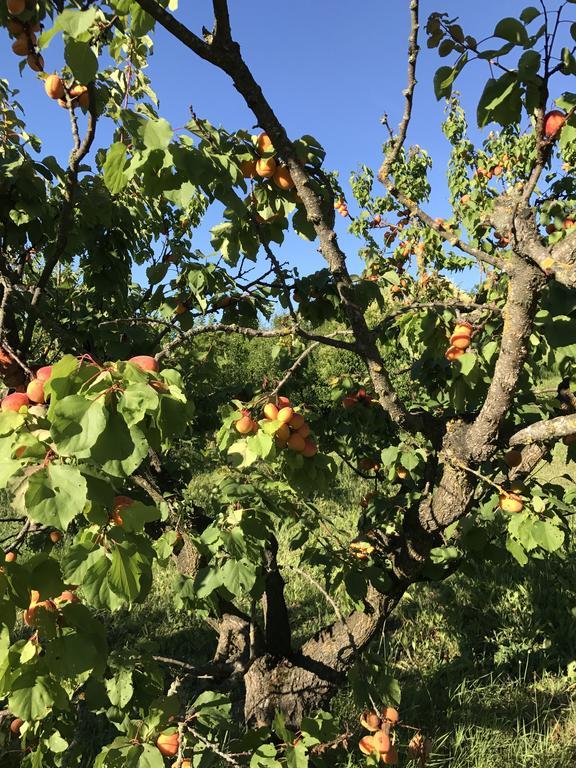 Castelletto Mendosio Agriturismo Ca Lunati酒店 外观 照片
