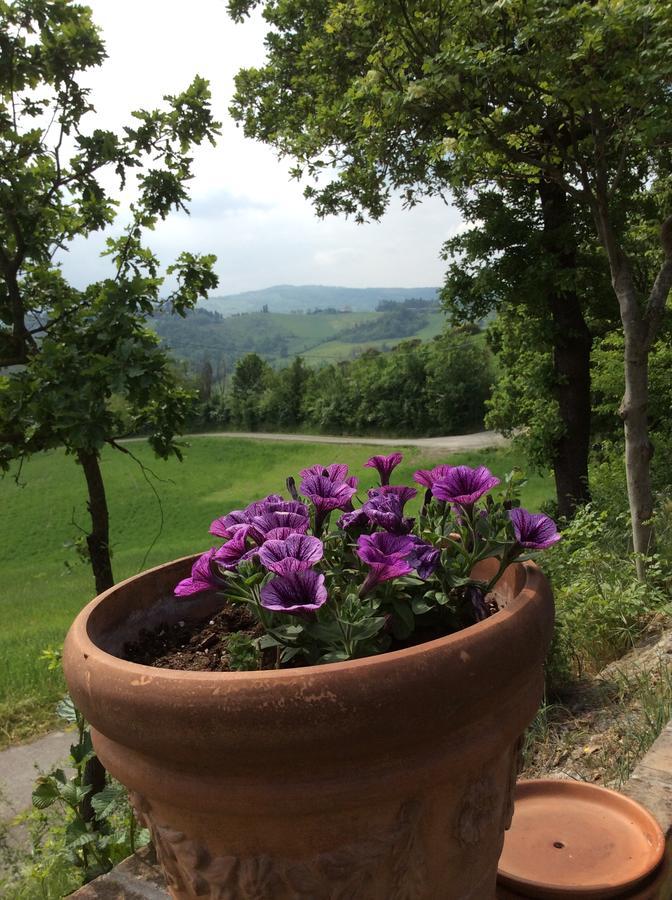 Castelletto Mendosio Agriturismo Ca Lunati酒店 外观 照片