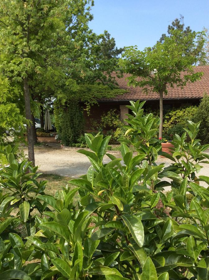 Castelletto Mendosio Agriturismo Ca Lunati酒店 外观 照片